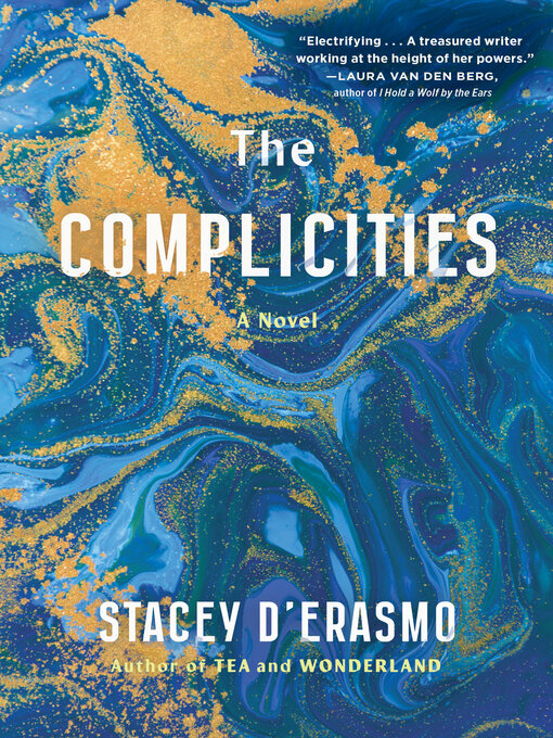 Title details for The Complicities by Stacey D'Erasmo - Available